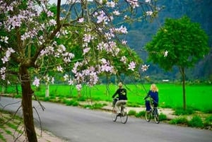 Hanoi: Ninh Binh, Hoa Lu, Trang An i jaskinia Mua