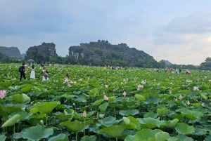 Hanoi: Ninh Binh, Hoa Lu, Trang An i jaskinia Mua