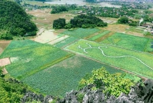 Hanoï : Ninh Bình Sunny Valley ou Trang An, grotte de Mua et Hoa Lu