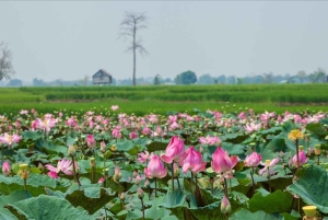 Hanoi: Ninh Binh Ui Valley or Trang An & Mua Caves & Hoa Lu