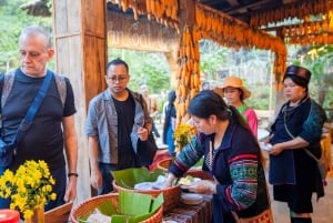 Hanoi: Ninh Binh UNESCO & Sapa Trekking 3-Day Tour by Train