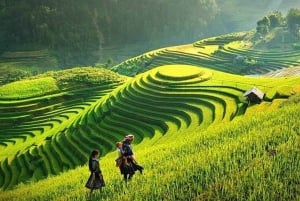 Hanoi: Ninh Binh UNESCO & Sapa Trekking 3-Day Tour by Train