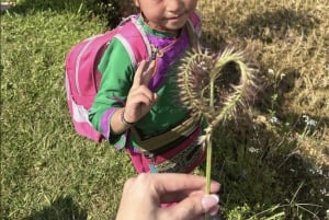 Hanoi: Ninh Binh UNESCO & Sapa Trekking 3-Day Tour by Train