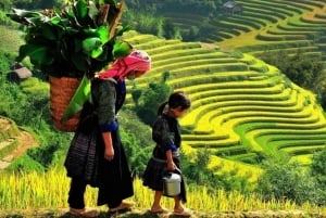 Hanoi: Ninh Binh UNESCO & Sapa Trekking 3-Day Tour by Train