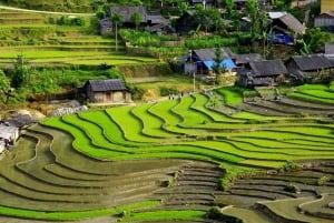 Hanoi: Ninh Binh UNESCO & Sapa Trekking 3-Day Tour by Train