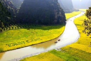 Hanoi-Ninhbinh 1 dagsomvisning i luksusklasse: Hoa Lu, Tam Coc, Mua-hulen