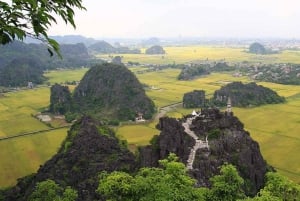 Visite à la journée de luxe Hanoi-Ninhbinh : Hoa Lu, Tam Coc, la grotte de Mua