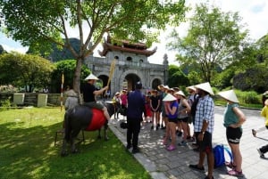 Hanoi-Ninhbinh 1 daagse luxe tour: Hoa Lu, Tam Coc, Mua Grot