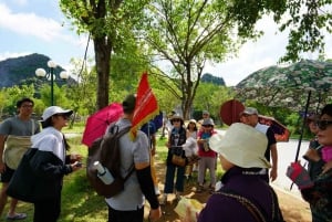 Visite à la journée de luxe Hanoi-Ninhbinh : Hoa Lu, Tam Coc, la grotte de Mua