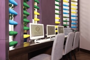 Hanoi: Noi Bai INTL Airport Zugang zur SH Premium Lounge