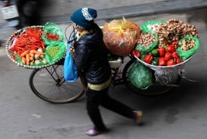 Excursão de meio dia de bicicleta pelo bairro antigo de Hanói e pelo Delta do Rio Vermelho