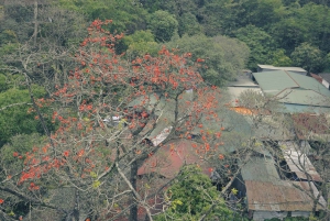Hanoi: Pagoda dei Profumi con giro in barca e villaggio della seta di loto