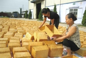 Hanoi: Phu Vinh Bamboo Village & Tram Mountain Relic Complex