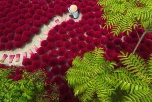 Hanoi Phung Xa Lotus Silk Handicraft Village or Incense, Hat