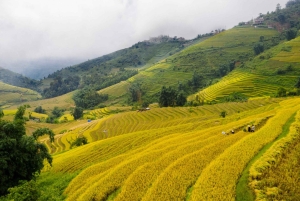 Ханой: премиум-тур в Сапу на 2/3 дня с лимузином DCAR