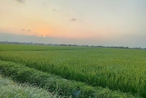 Hanoi’s Heritage: Nom Ancient Village and Dong Ho Folk Art