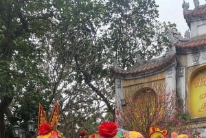 El patrimonio de Hanói: la antigua aldea de Nom y el arte popular de Dong Ho