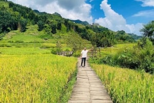 Hanoi: Sapa 2-dagers med Cat Cat og Fansipan-toppen - trekking