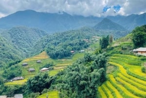 Hanoi: Sapa 2-dages med Cat Cat og Fansipan peak- trekking