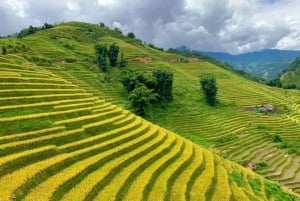 Hanoi: Sapa 2-daagse trektocht met Cat Cat en Fansipan piek