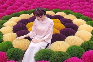 Hanoi Tam Chuc, världens största pagod och rökelseby