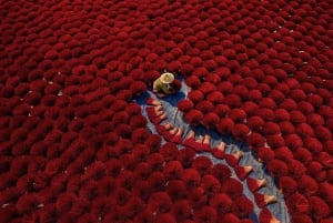 Hanoi Tam Chuc, världens största pagod och rökelseby