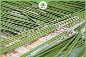 Hanoi Tam Chuc, världens största pagod och rökelseby