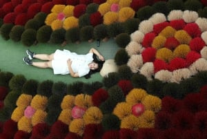 Hanoi Tam Chuc, världens största pagod och rökelseby