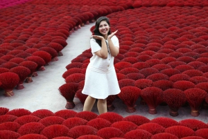 Hanoi Tam Chuc, världens största pagod och rökelseby