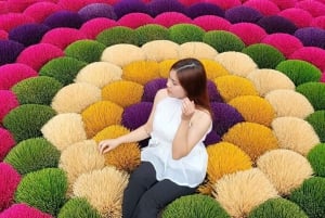 Hanoi Tam Chuc, världens största pagod och rökelseby