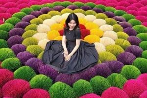 Hanoi Tam Chuc, världens största pagod och rökelseby