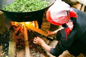 Hanói: ceremonia del té, clase de cocina y tradiciones familiares