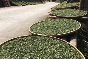 Hanói: ceremonia del té, clase de cocina y tradiciones familiares