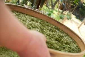 Hanói: ceremonia del té, clase de cocina y tradiciones familiares