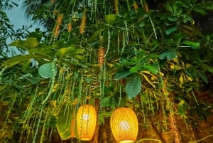 Hanói: ceremonia del té, clase de cocina y tradiciones familiares