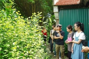 Hanoi: Thay Pagoda, Tay Phuong Pagoda, Van Phuc Silk Village