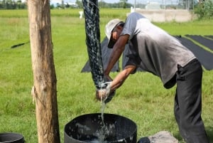 Hanoi: Tram Gian-pagoden eller Parfym-pagoden & åktur med båt & grotta