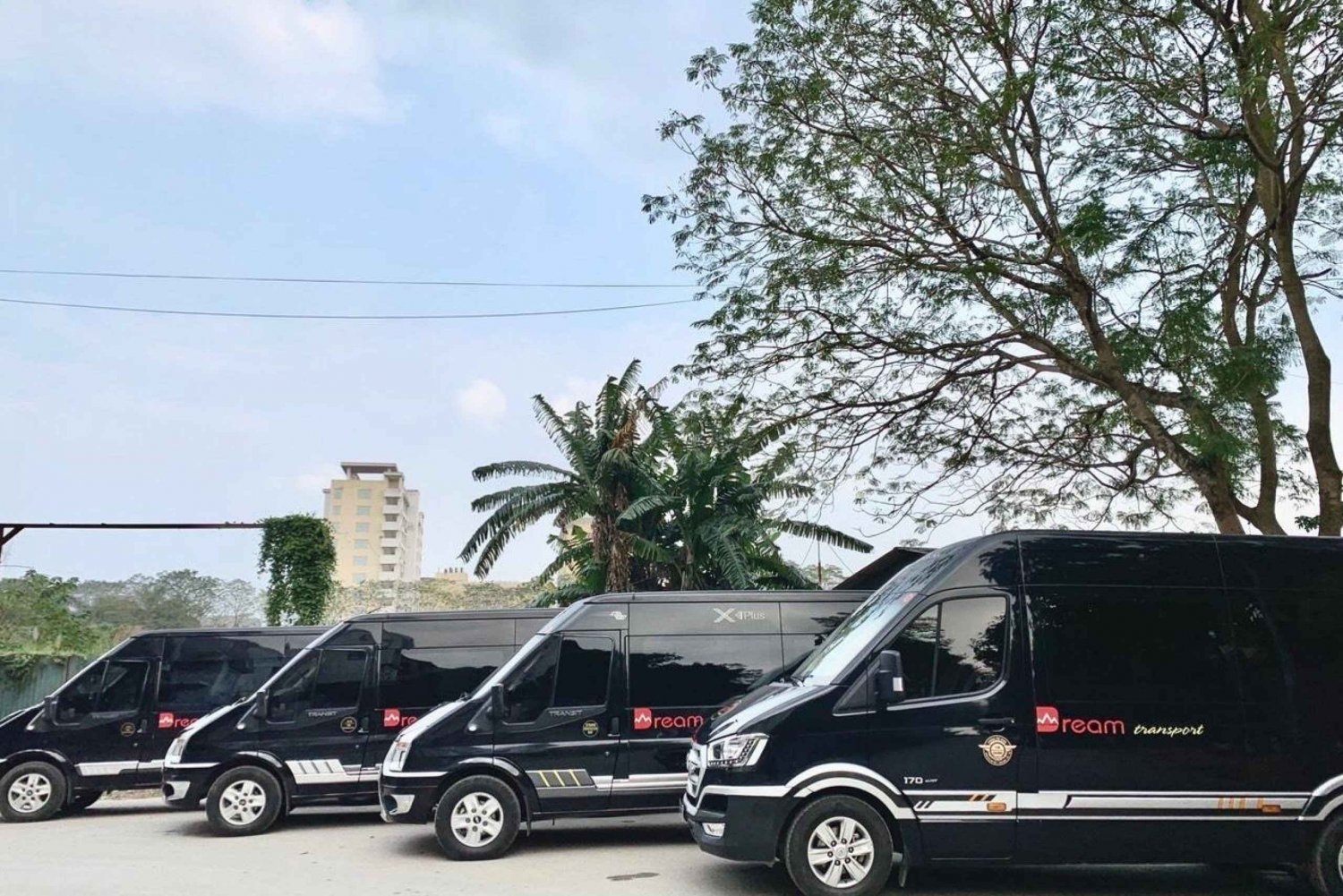 Hanoi: transfer do lub z Ninh Binh codziennie autobusem limuzynowym