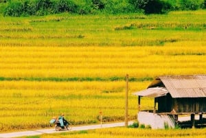 Hanoi: trasferimento da o per la città di Sa Pa in autobus VIP con posti letto