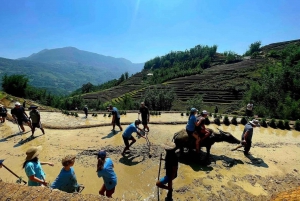 Hanoi: Transfer to or from Sapa in a Sleeper Bus