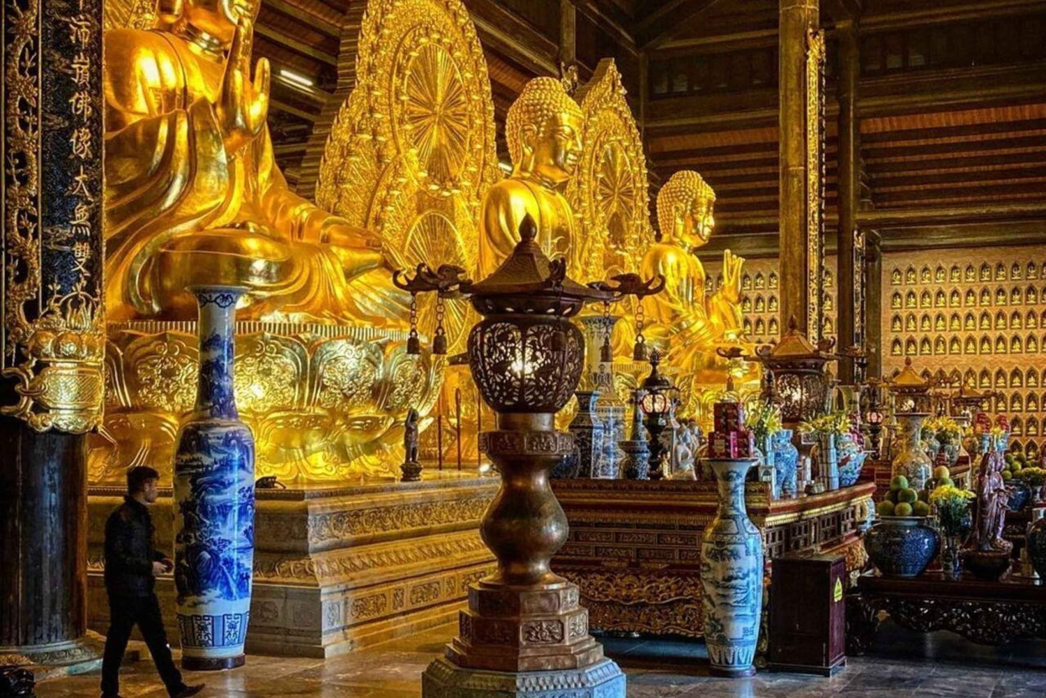 Hanói: reserva natural de Vân Long y pagoda de Bái Đính