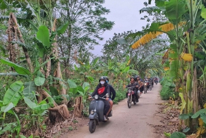 Hanói: Excursão guiada de meio dia na cidade em uma motocicleta Vintage Minsk