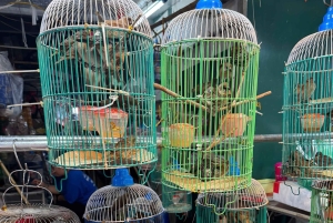 Hanoi: West Lake Cycling Tour with Dinner