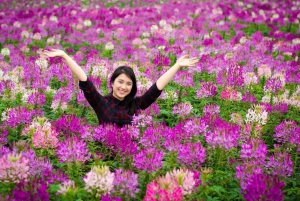Hanoi WestLake Scenic Tour & Flower Valley & Train Street