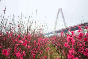 Hanoi WestLake Scenic Tour & Flower Valley & Train Street