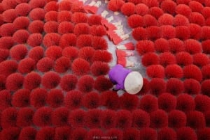 ハノイ女性博物館または魚のわな、醤油、お香の村をご覧ください