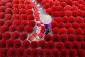 ハノイ女性博物館または魚のわな、醤油、お香の村をご覧ください