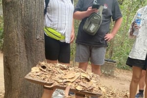 Private Cu Chi Half-Day Tour From HCM City – Guide Optional