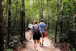 HCM: Tay Ninh, Black Virgin Mountain, & Cao Dai Temple Tour