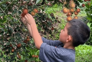De Ho Chi Minh-Ville au Cambodge : circuit de 4 jours à Cu Chi et sur le Mékong avec un guide de la région